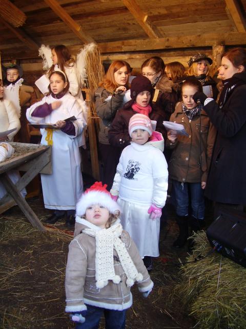 Jedyna w Elblągu zdjęcie nr 19698