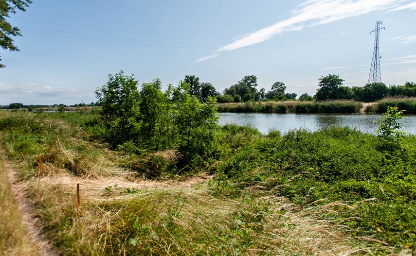 Nad rzeką Elbląg ruszył drugi etap przekopu zdjęcie nr 242575