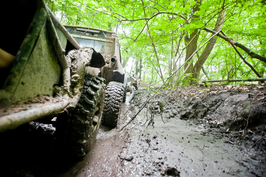 Piknik Rainforest Challenge Poland na Modrzewinie zdjęcie nr 243300