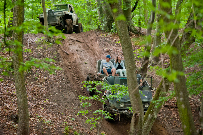 Piknik Rainforest Challenge Poland na Modrzewinie zdjęcie nr 243314