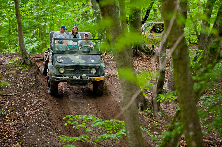 Piknik Rainforest Challenge Poland na Modrzewinie zdjęcie nr 243313