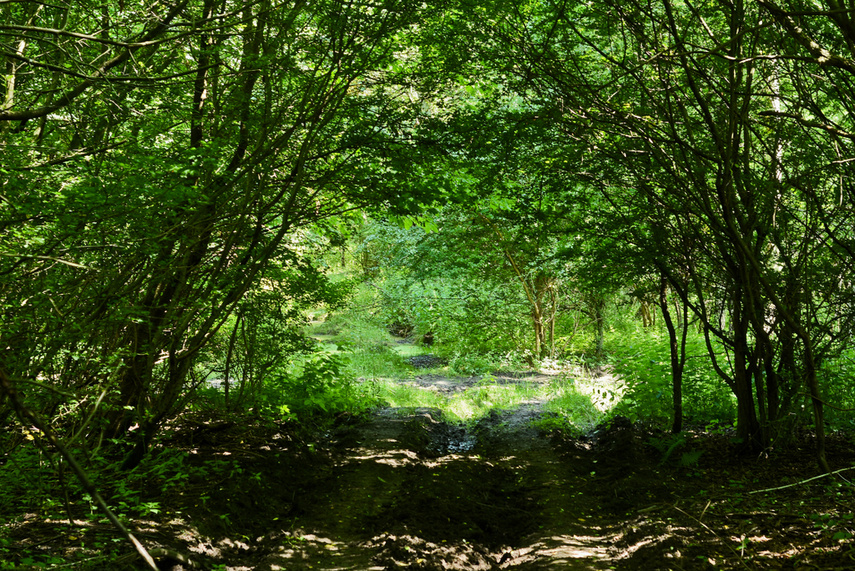 Korzystne nicnierobienie zdjęcie nr 243812