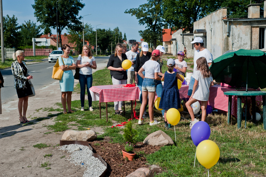 Skrzydlata w żywszych barwach zdjęcie nr 244765