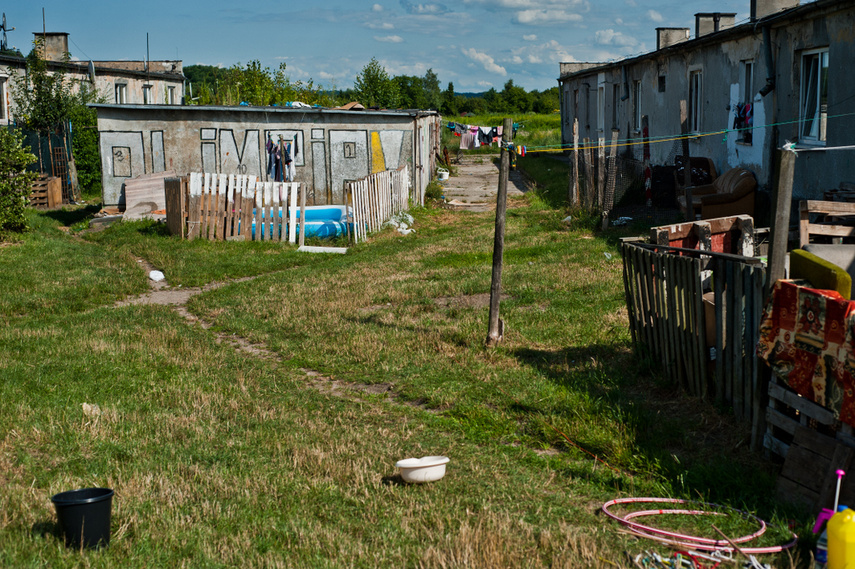 Skrzydlata w żywszych barwach zdjęcie nr 244759