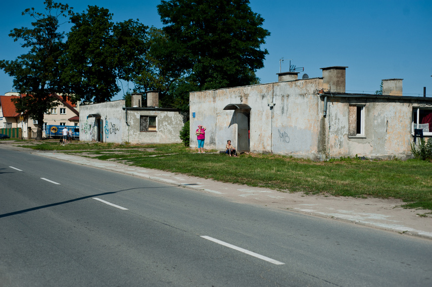 Skrzydlata w żywszych barwach zdjęcie nr 244747