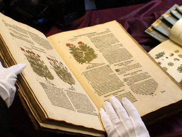 Uroczystość Biblioteki Elbląskiej zdjęcie nr 20156