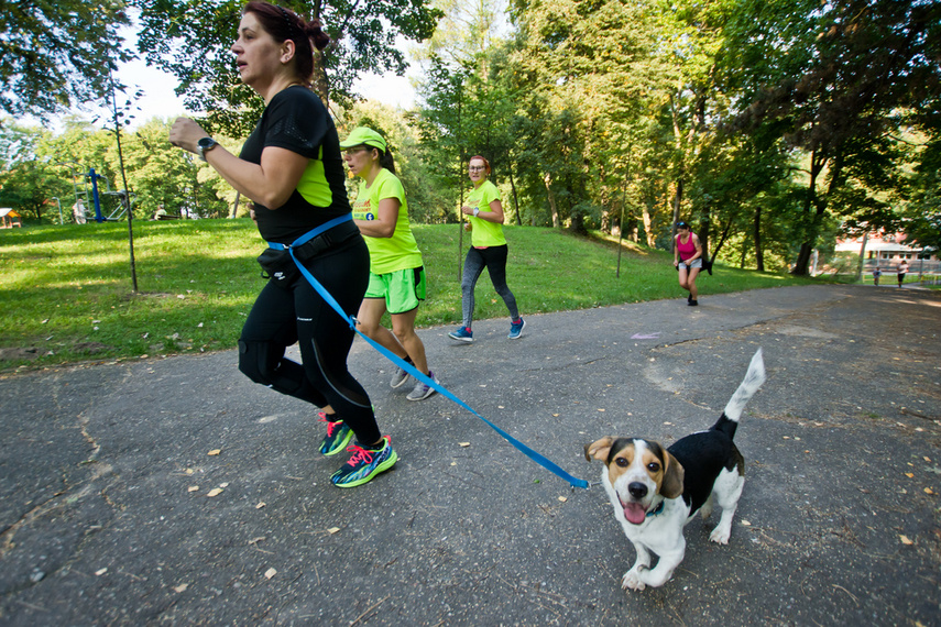 Narodowy Dzień Sportu z parkrun zdjęcie nr 247828