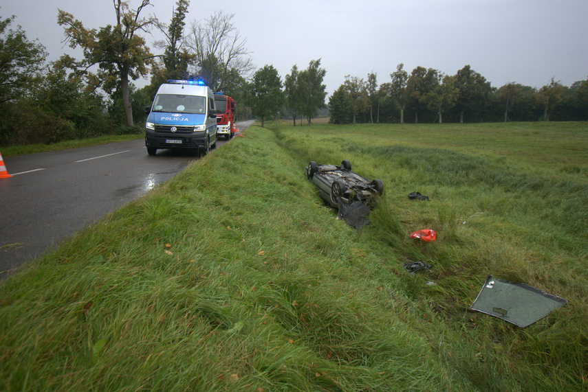 Dachowanie w Próchniku zdjęcie nr 248122