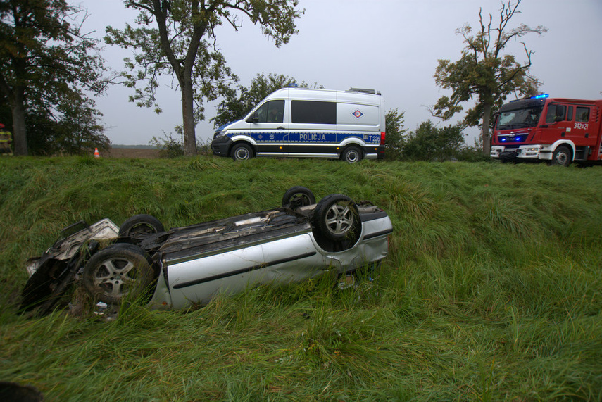 Dachowanie w Próchniku zdjęcie nr 248125