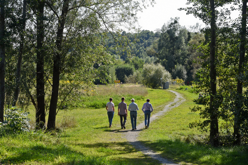 Tak można rozkorkować Bema  zdjęcie nr 248240