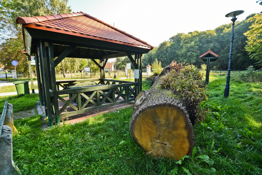 Miejsce, w którym odetchniesz zdjęcie nr 248535