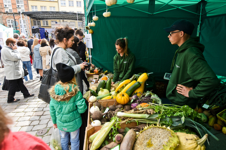 Na starówce kupisz lokalne produkty zdjęcie nr 248755