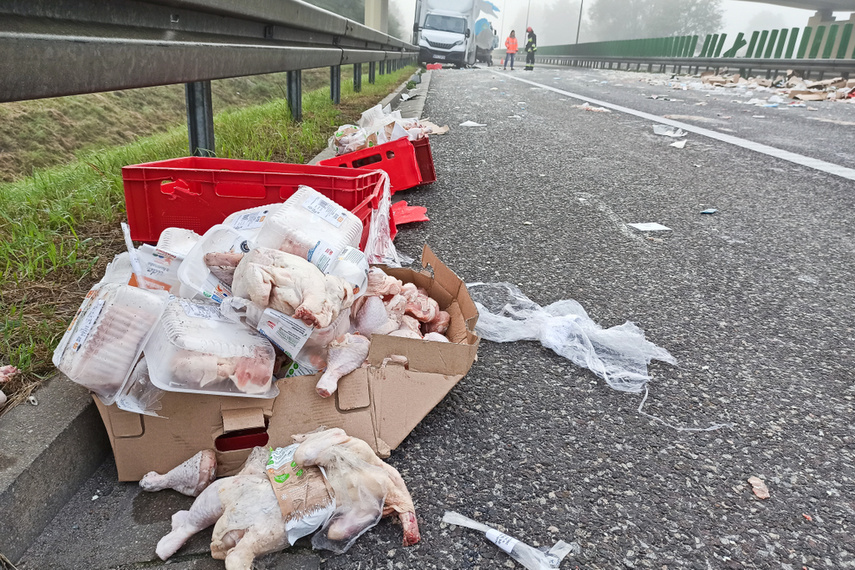 Kolizja aut dostawczych na S7, trasa zablokowana zdjęcie nr 248825