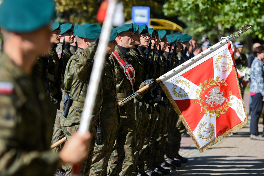 „Nie zamierzali łatwo oddać niepodległości” zdjęcie nr 248973