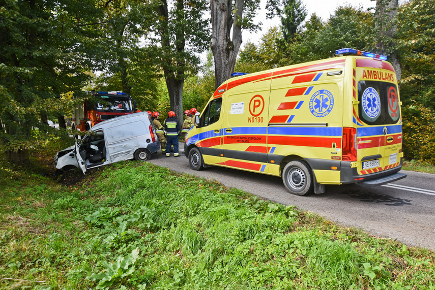 Kierująca renault uderzyła w drzewo zdjęcie nr 249025