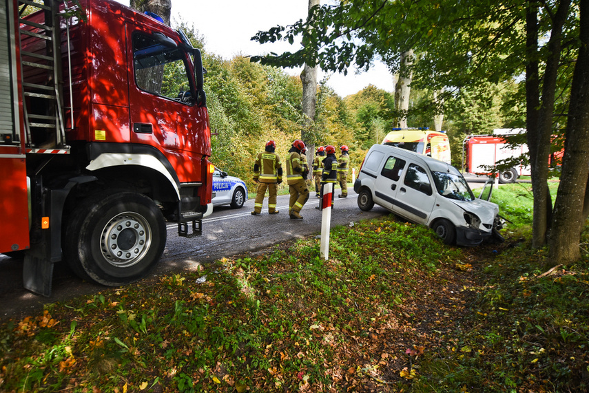 Kierująca renault uderzyła w drzewo zdjęcie nr 249021