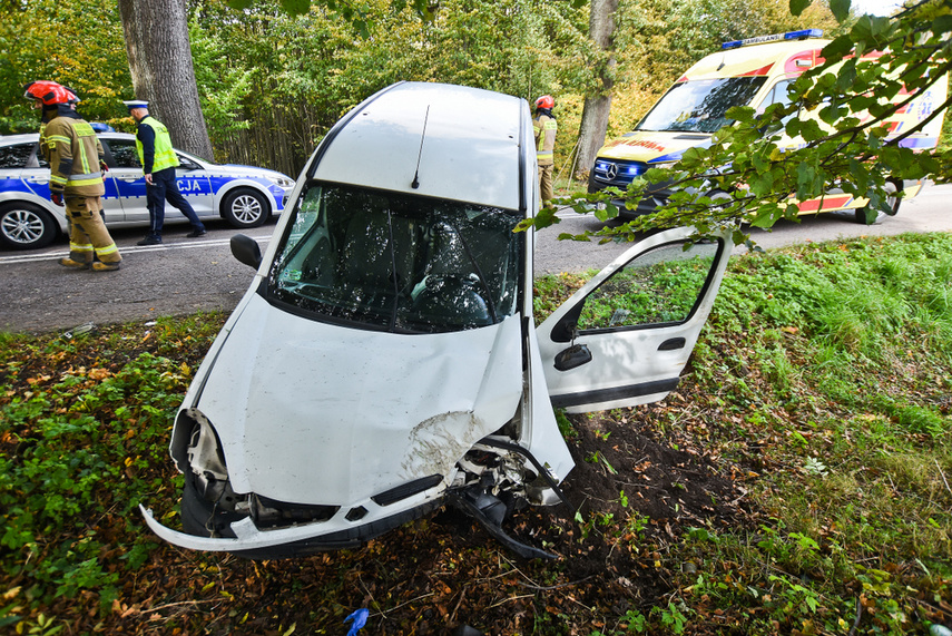 Kierująca renault uderzyła w drzewo zdjęcie nr 249022