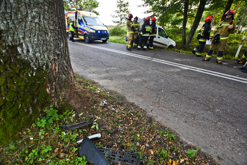 Kierująca renault uderzyła w drzewo zdjęcie nr 249028