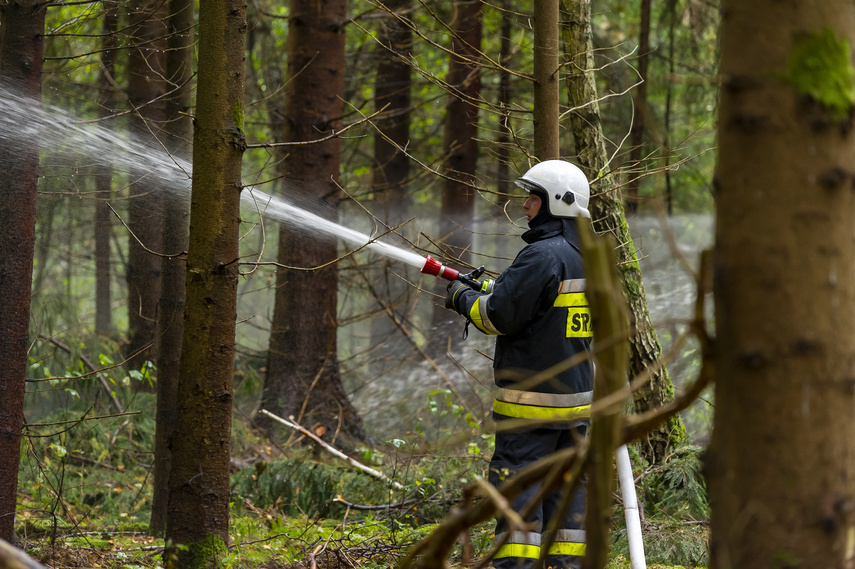 Strażacy ćwiczyli w okolicach Młynar zdjęcie nr 249404
