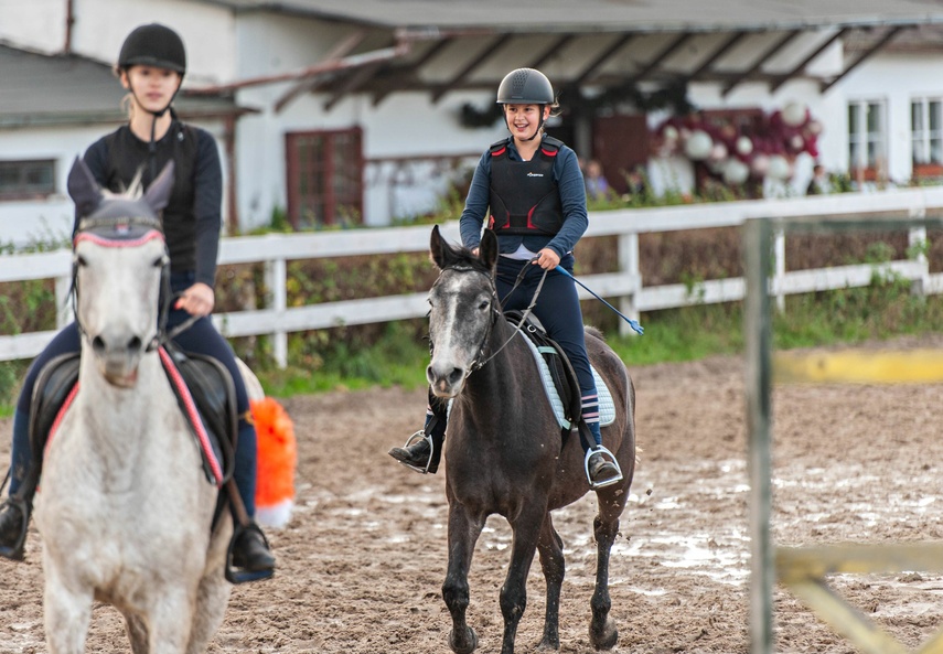 Konie, tradycja i pościg za lisem zdjęcie nr 250343