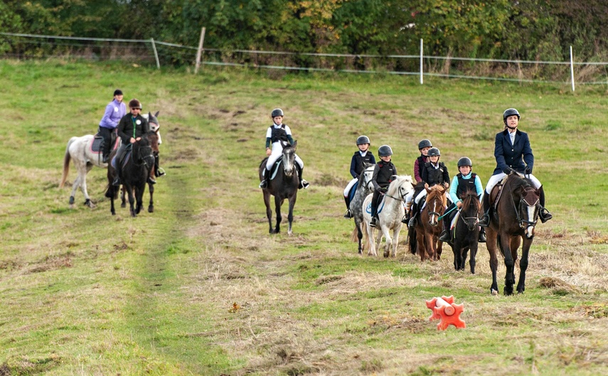 Konie, tradycja i pościg za lisem zdjęcie nr 250319