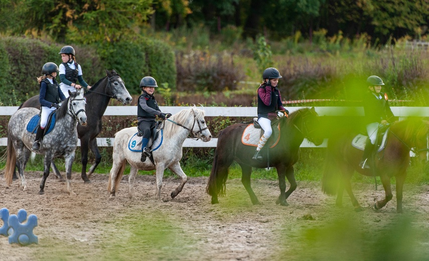 Konie, tradycja i pościg za lisem zdjęcie nr 250337