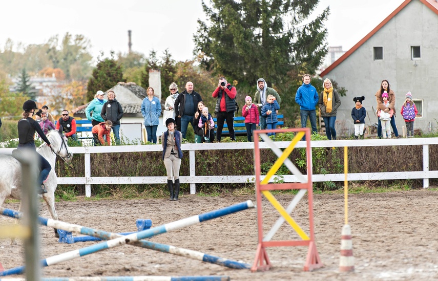 Konie, tradycja i pościg za lisem zdjęcie nr 250342