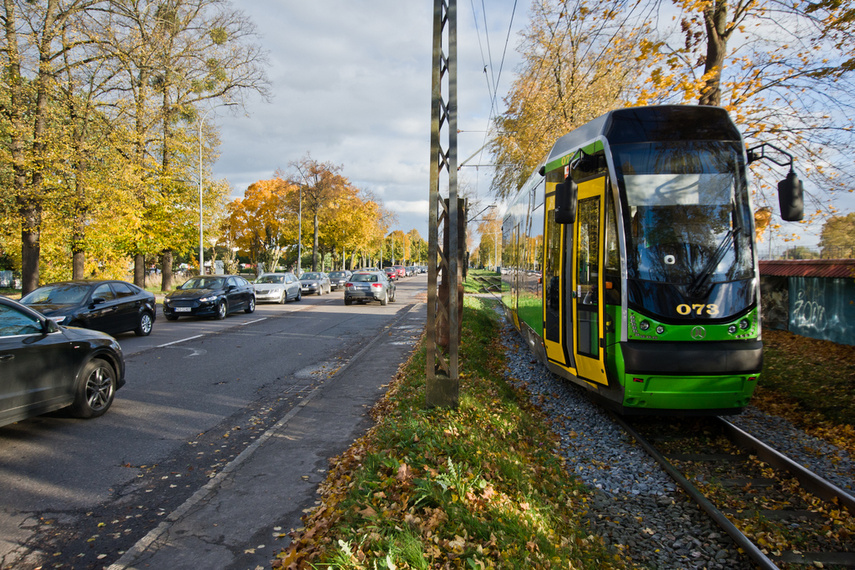 Konar spadł na trakcję. Tramwaje nie jeżdżą zdjęcie nr 250626