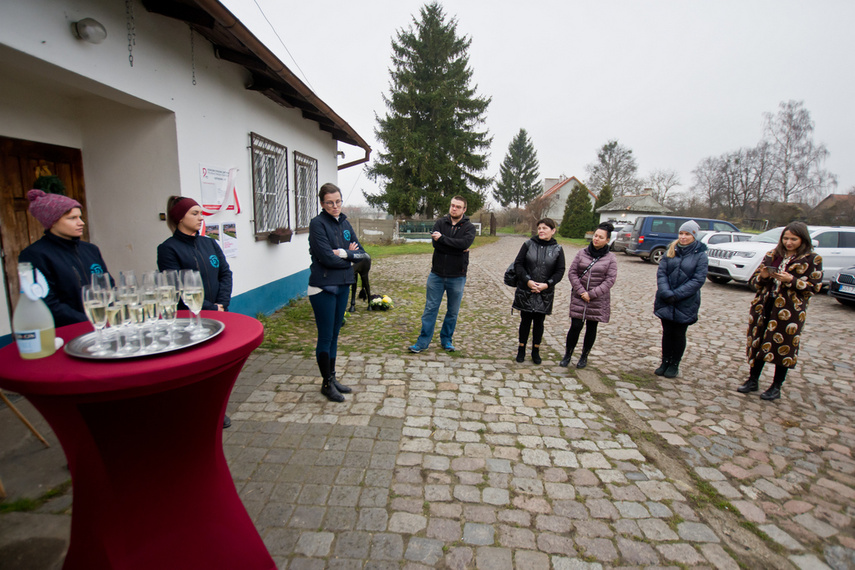 Fundacja Końskie Zdrowie z certyfikatem PZJ zdjęcie nr 252004