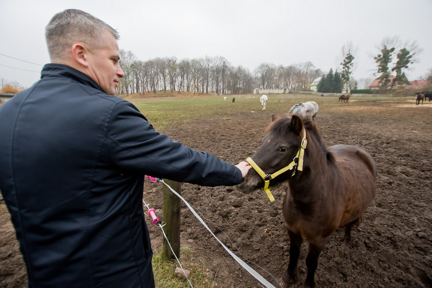 Fundacja Końskie Zdrowie z certyfikatem PZJ zdjęcie nr 252014