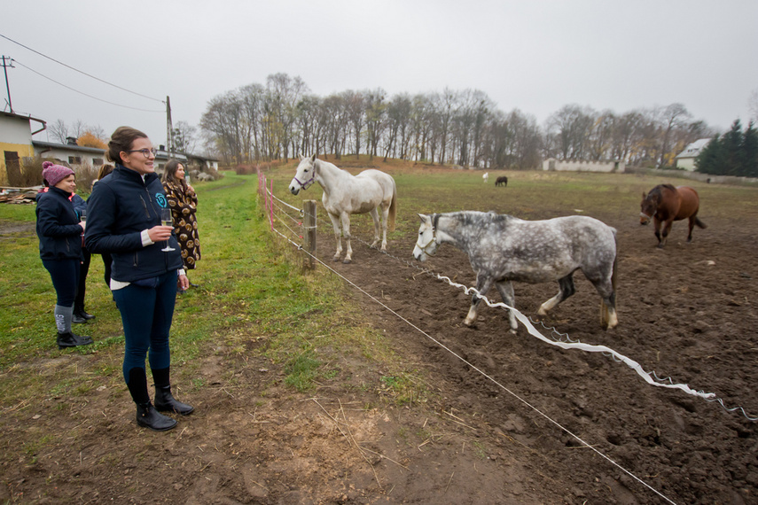 Fundacja Końskie Zdrowie z certyfikatem PZJ zdjęcie nr 252016