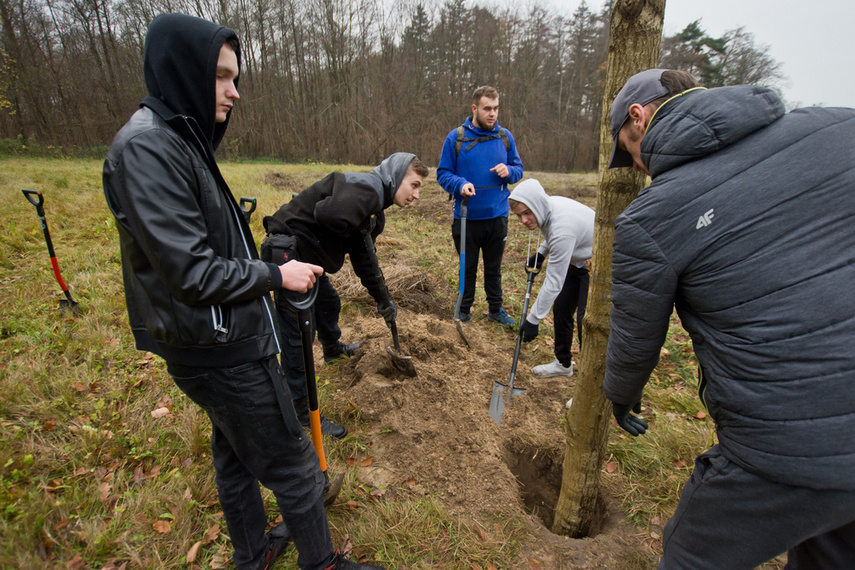 Dla leśnych roślin i zwierząt zdjęcie nr 252175