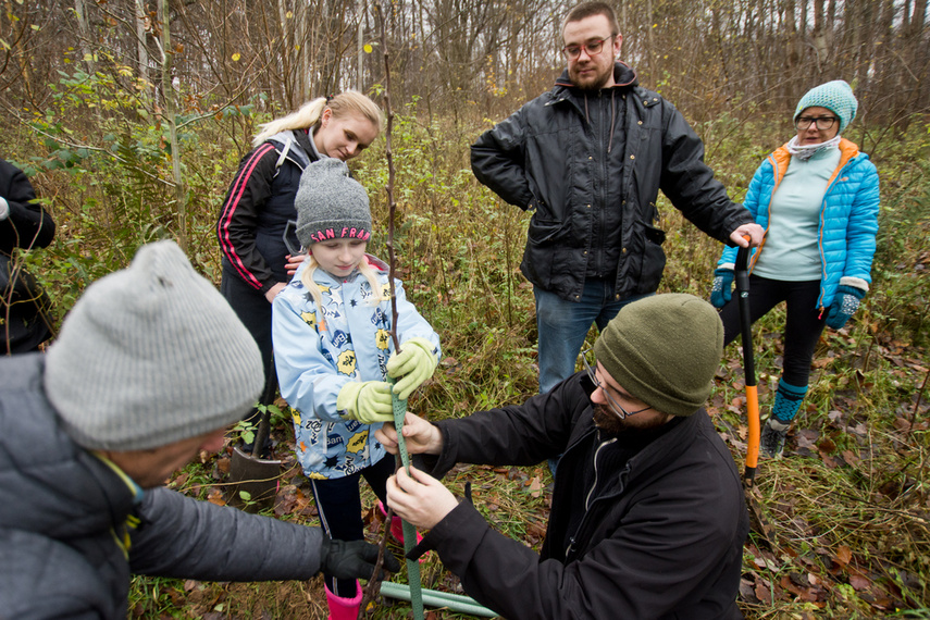 Dla leśnych roślin i zwierząt zdjęcie nr 252130