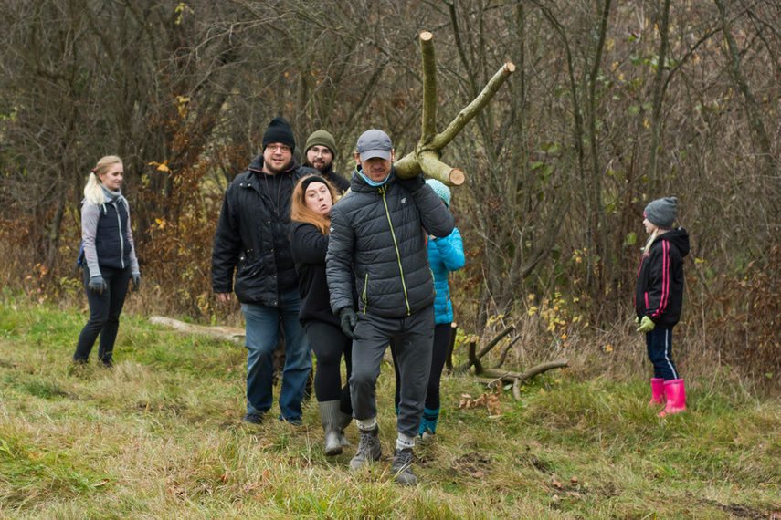 Dla leśnych roślin i zwierząt zdjęcie nr 252169