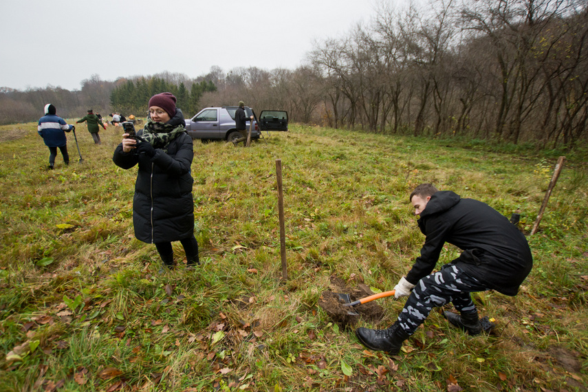 Dla leśnych roślin i zwierząt zdjęcie nr 252160