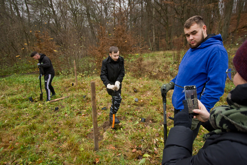 Dla leśnych roślin i zwierząt zdjęcie nr 252161