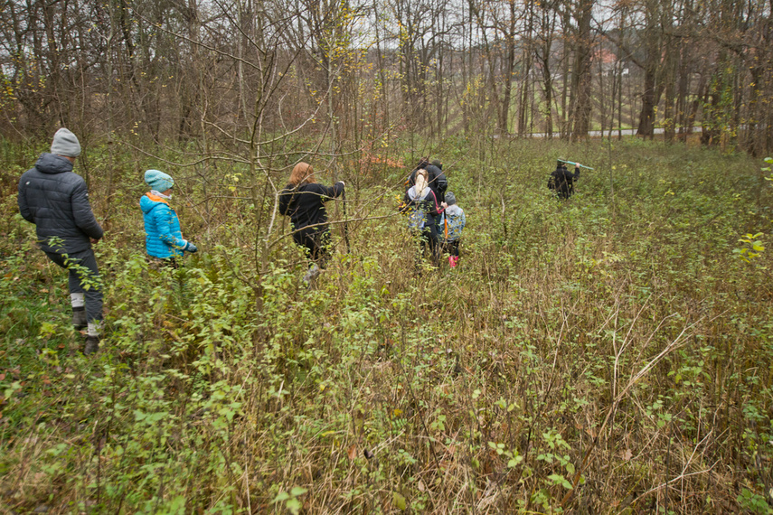 Dla leśnych roślin i zwierząt zdjęcie nr 252133