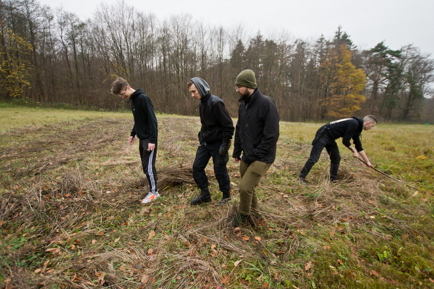 Dla leśnych roślin i zwierząt zdjęcie nr 252162