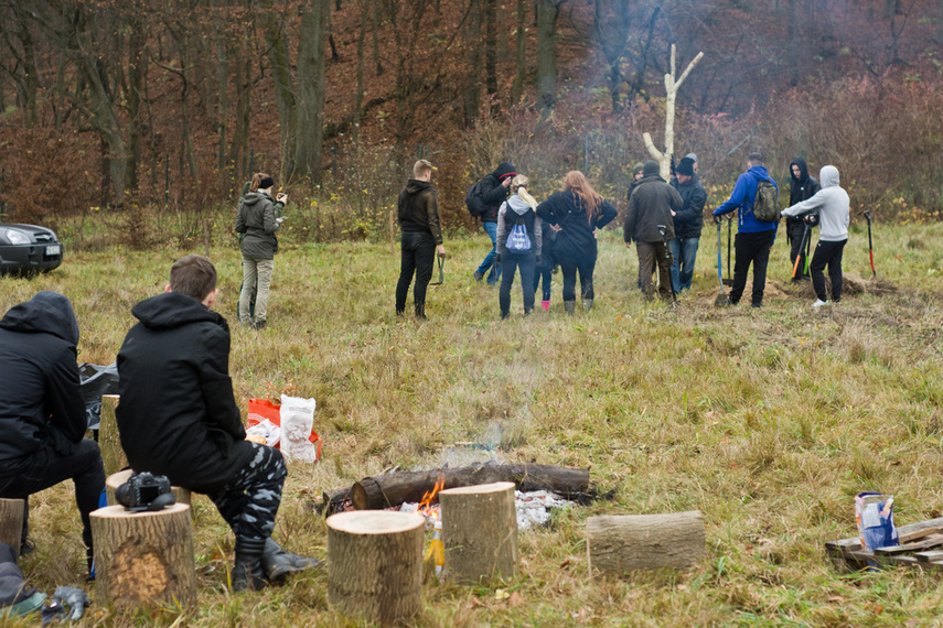 Dla leśnych roślin i zwierząt zdjęcie nr 252173