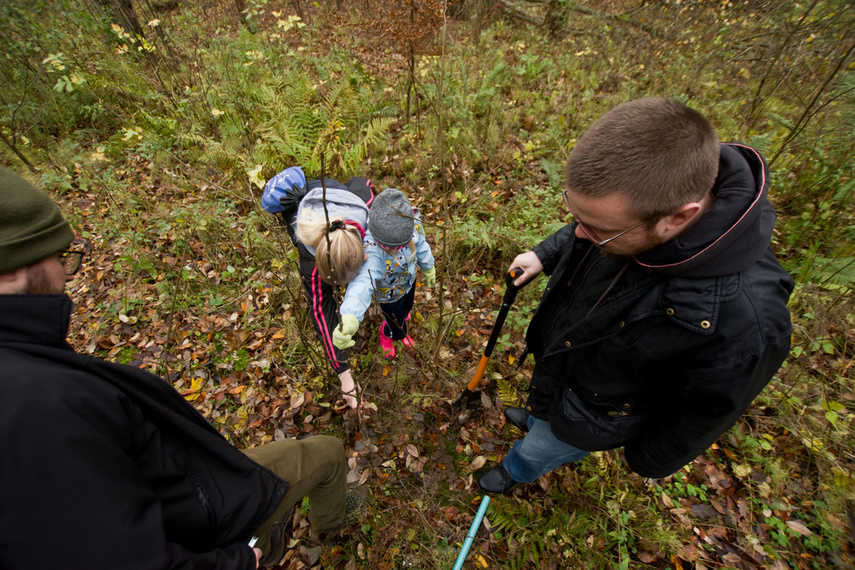 Dla leśnych roślin i zwierząt zdjęcie nr 252117