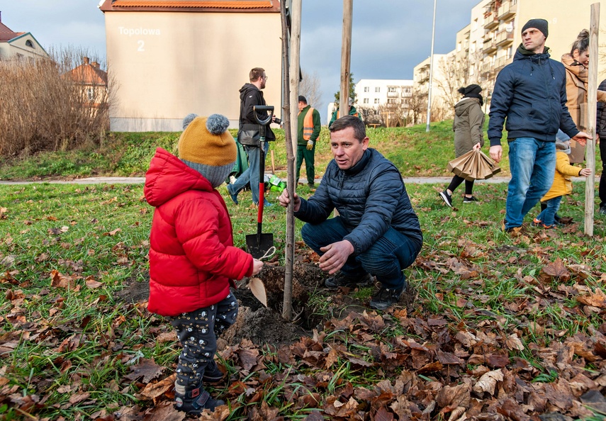 "To ja posadziłam to drzewo" zdjęcie nr 252554