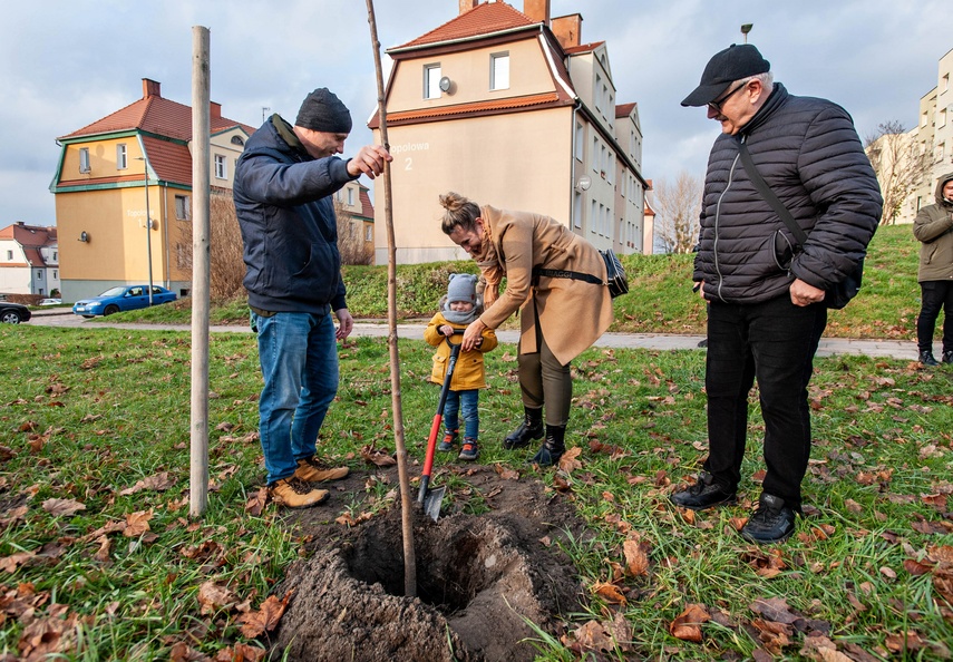 "To ja posadziłam to drzewo" zdjęcie nr 252555