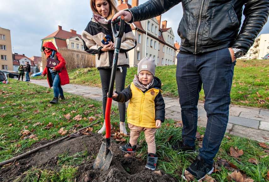 "To ja posadziłam to drzewo" zdjęcie nr 252556