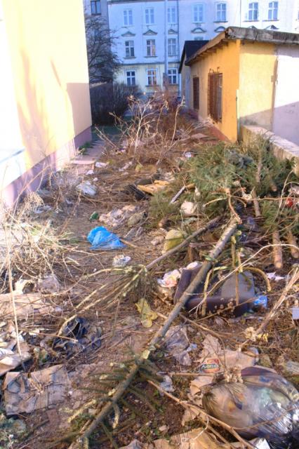 Przychodnia w śmietniku zdjęcie nr 20525