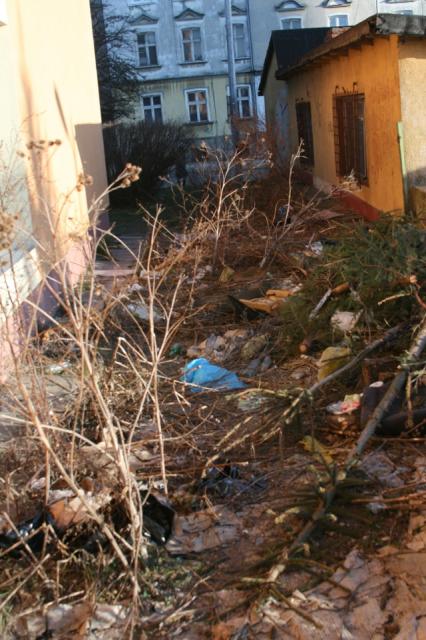 Przychodnia w śmietniku zdjęcie nr 20523