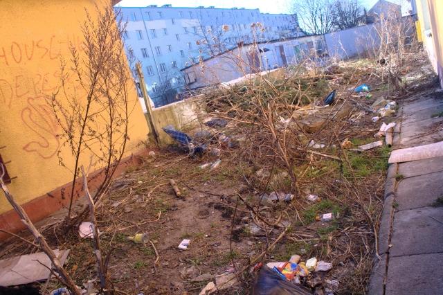 Przychodnia w śmietniku zdjęcie nr 20524