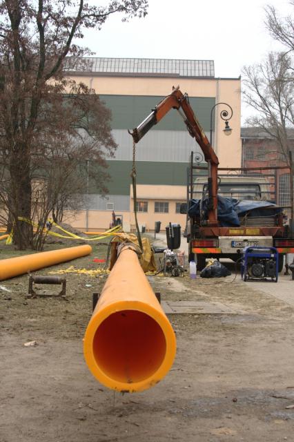 Pomarańczowy wąż pod dnem rzeki zdjęcie nr 20538