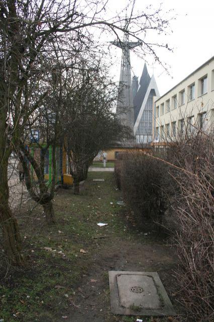 Wielkie porządki wokół przychodni zdjęcie nr 20576