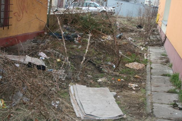 Wielkie porządki wokół przychodni zdjęcie nr 20566