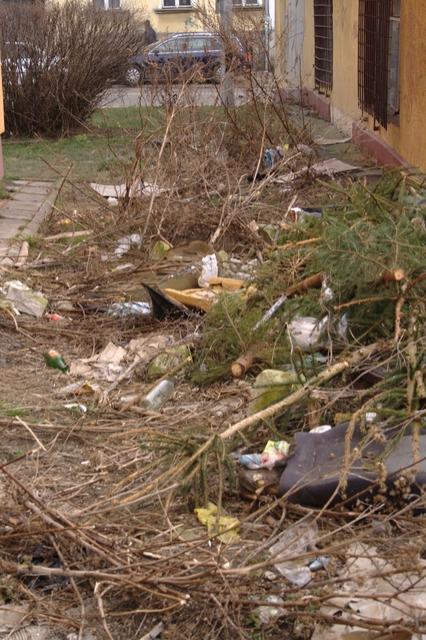 Wielkie porządki wokół przychodni zdjęcie nr 20568